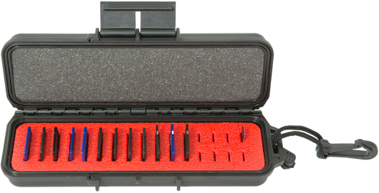 iSeries 0702-1 Memory Card Case