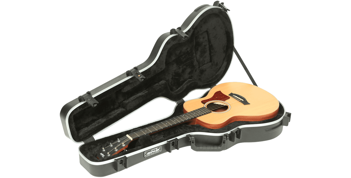 Taylor gs top mini soft case