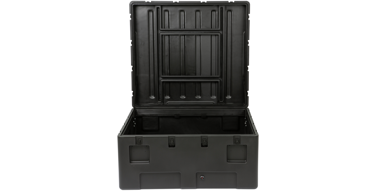 rSeries 4238-20 Case