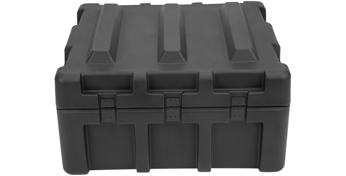 rSeries 2624-11 Case