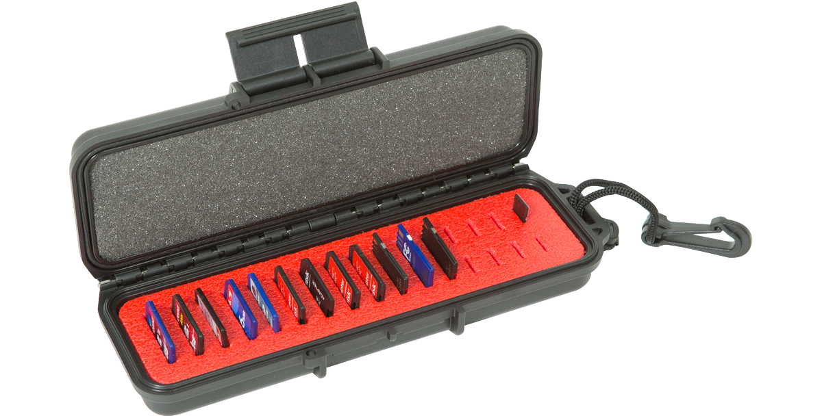 iSeries 0702-1 Memory Card Case