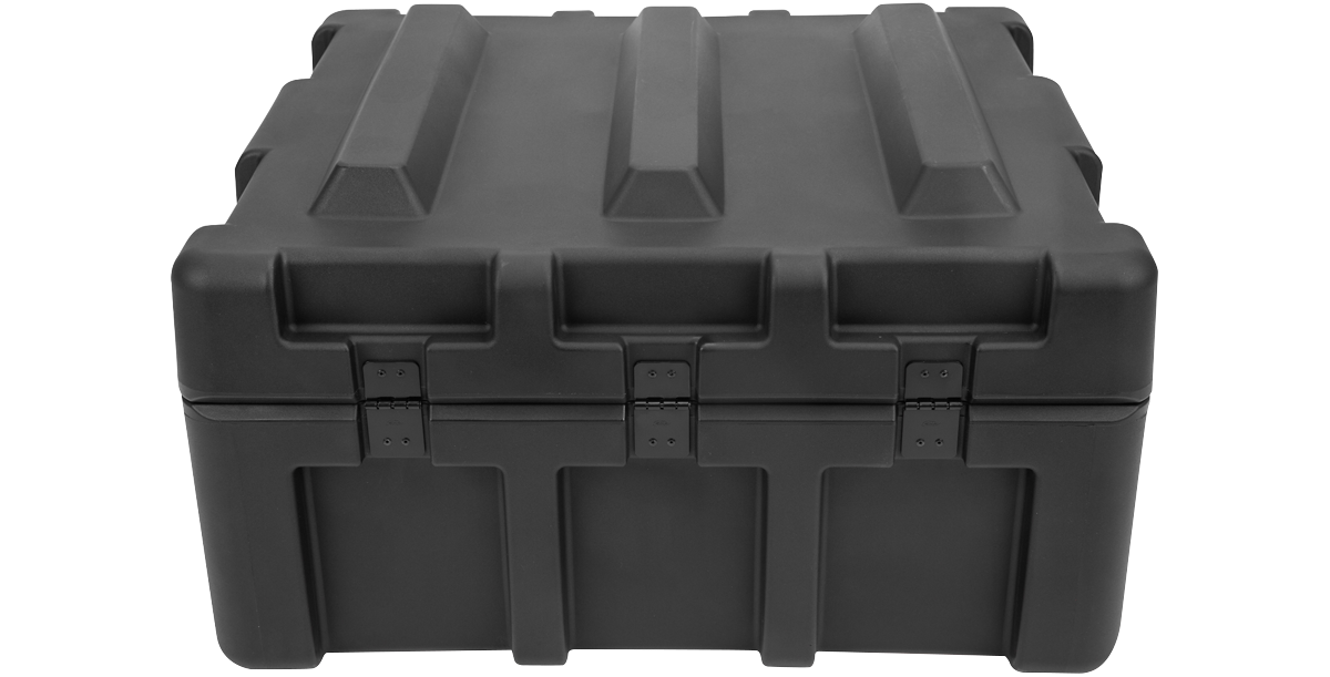 rSeries 2624-11 Case