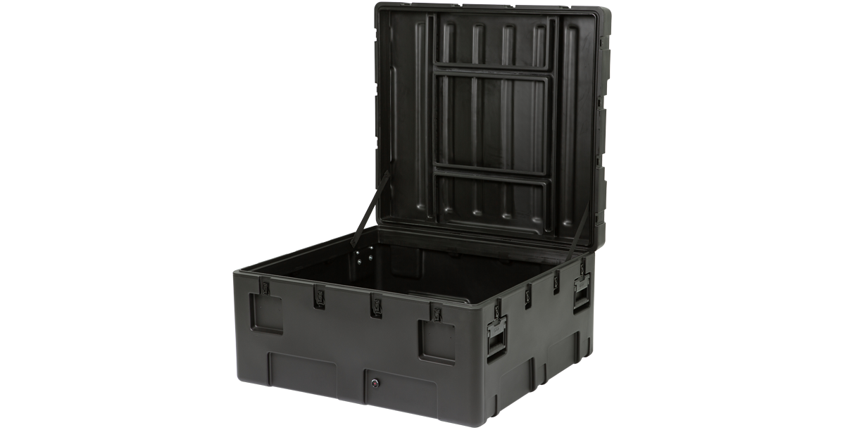 rSeries 4238-20 Case