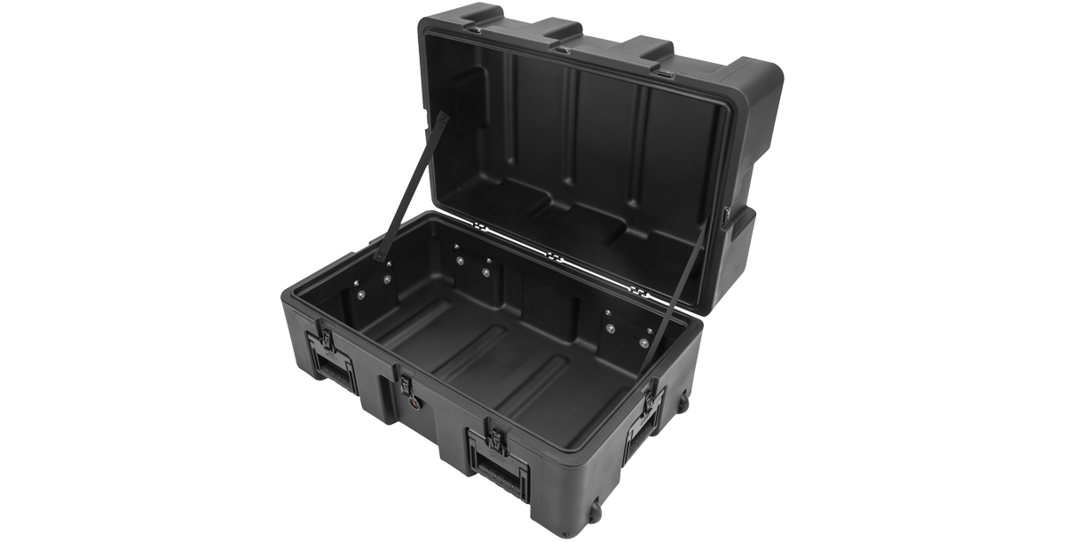 rSeries 3018-17 Case